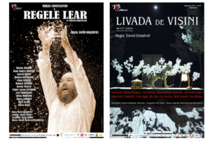 teatru- regia David Doiashvili