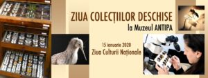 Muzeul Antipa- vizite gratuite
