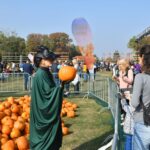 Titan Pumpkin Fest: 5 tone de dovleci, de sculptat în Parcul Titan